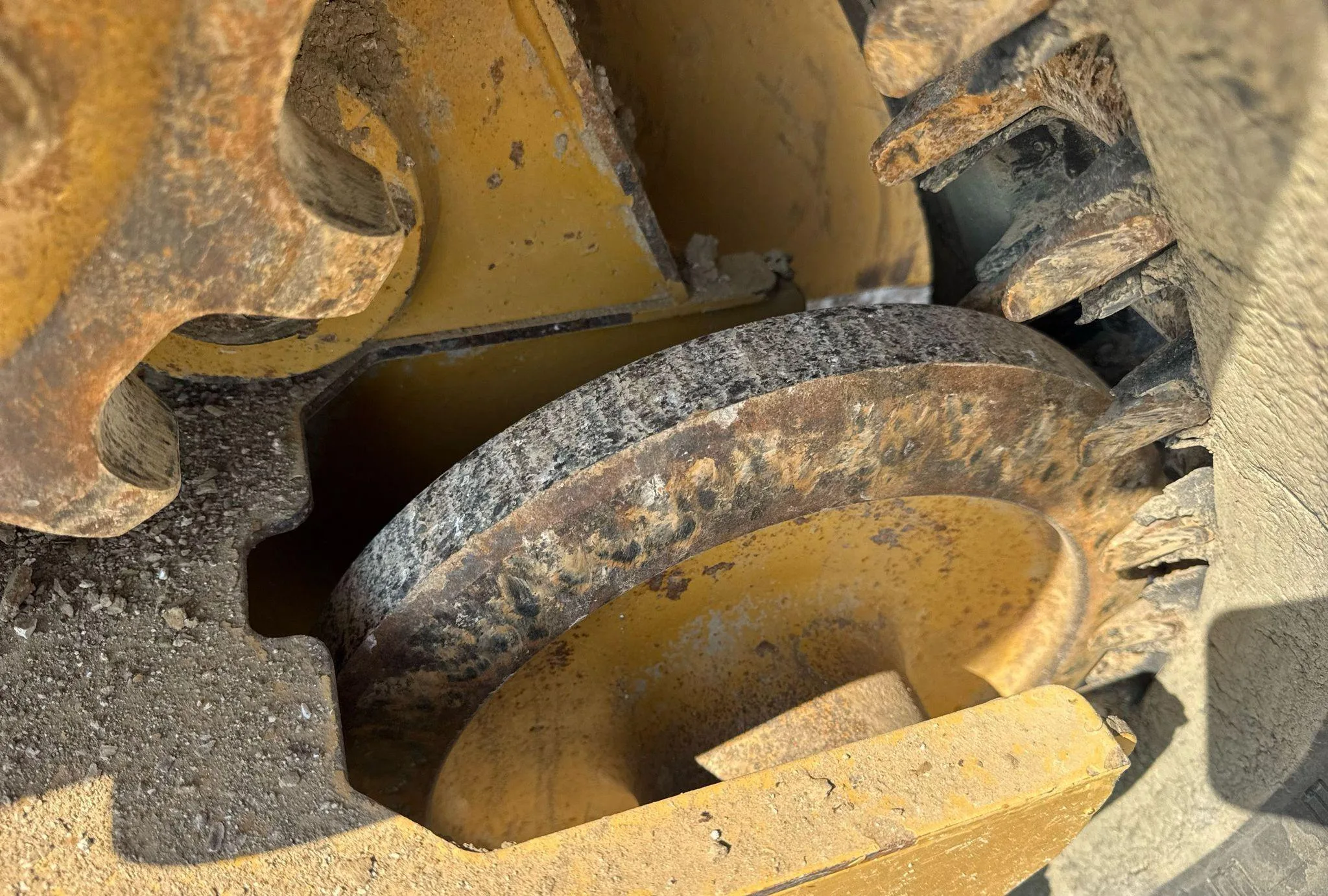 2024 Caterpillar 259D3